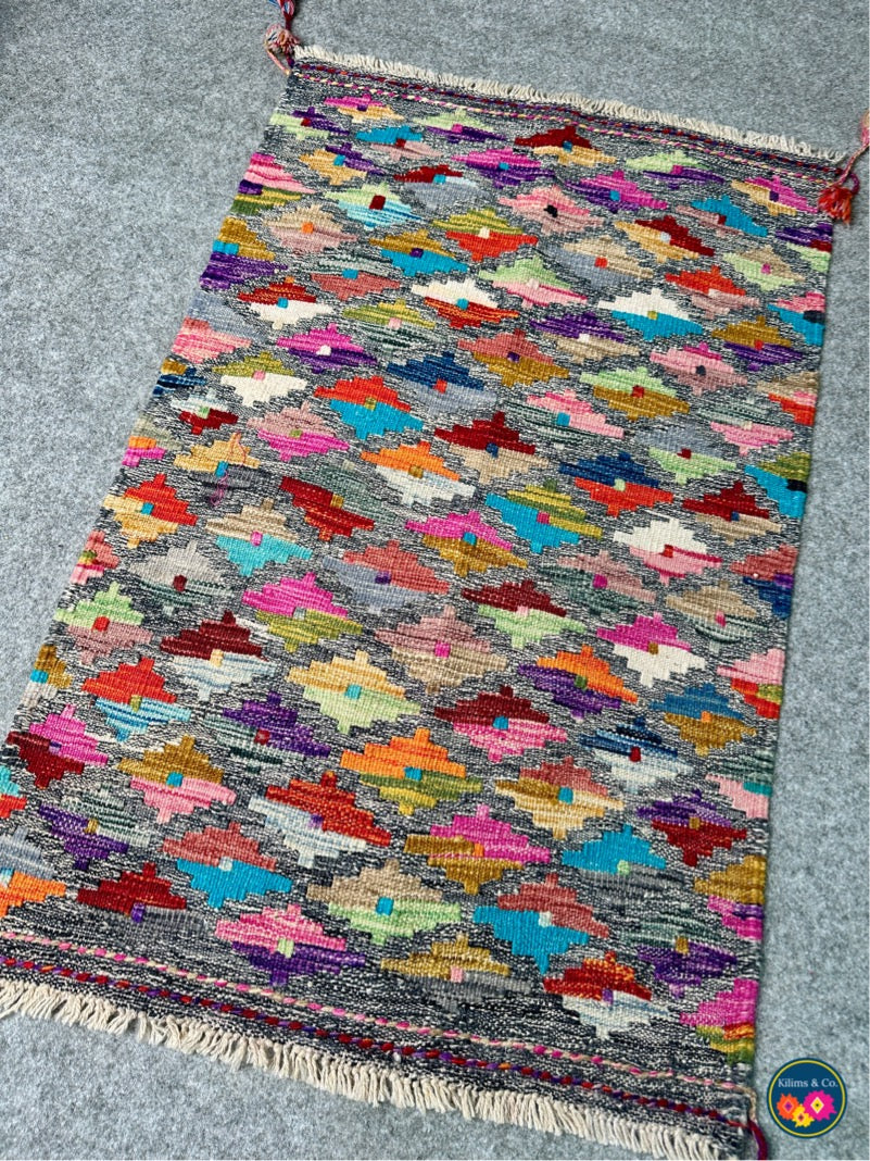 Pure Wool Hanging kilim 2’2 x 3’4