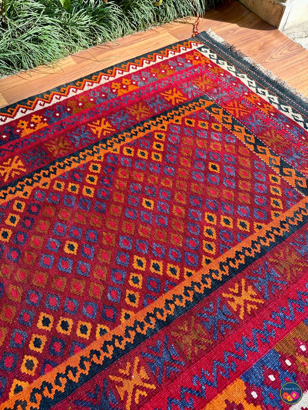 Pure wool Ghalmoori kilim (6′9″ × 3′8″)