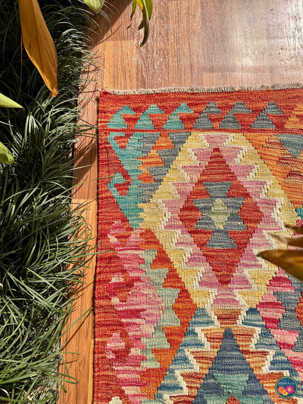 Pure wool kilim (6′6″ × 5′0″)