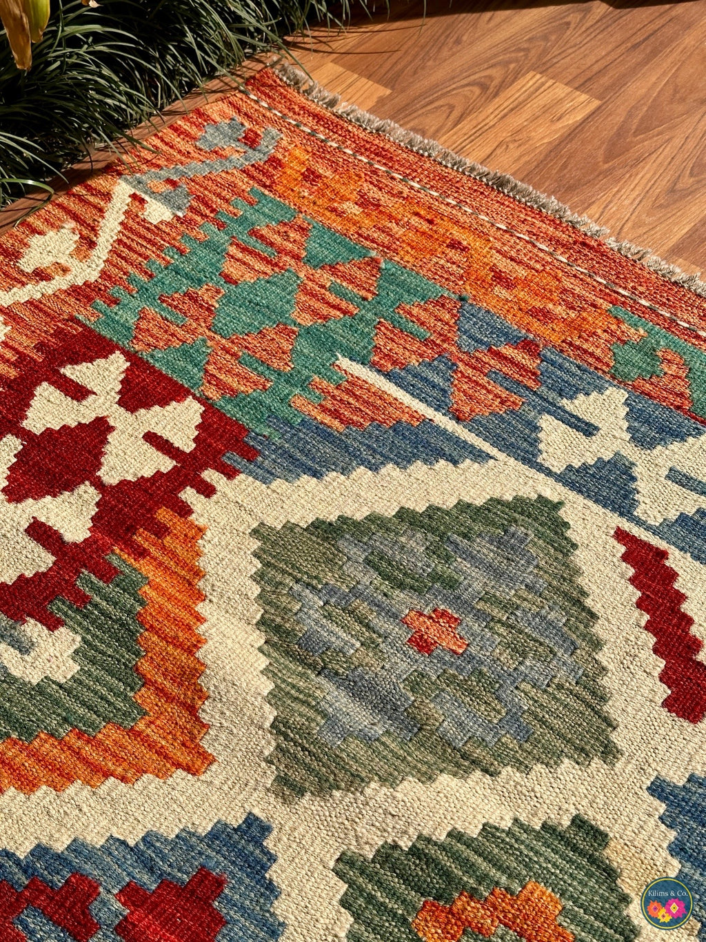 Pure wool kilim (6′7″ × 5′2″ )