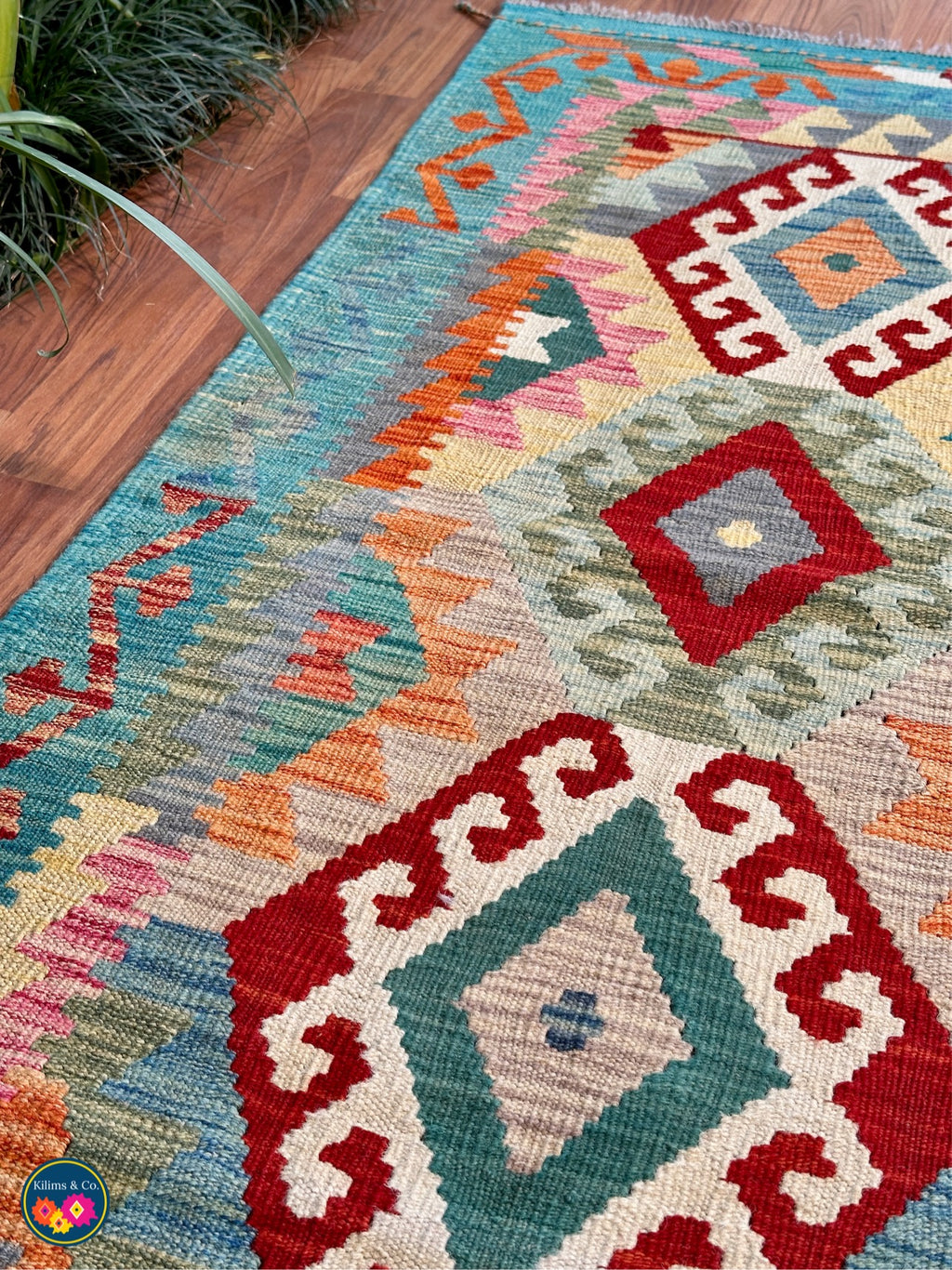 Pure wool kilim 5'10”x4'1”