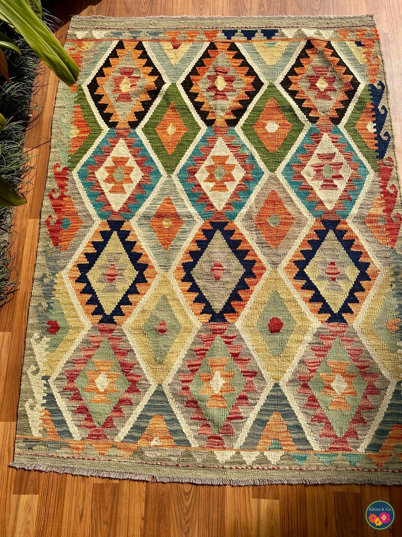 Pure wool kilim (6′2″ × 4′1″)